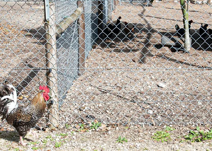 Casa Do Pomar Dom wakacyjny *