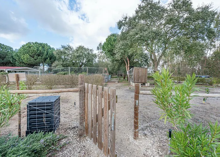 Casa Do Pomar Dom wakacyjny