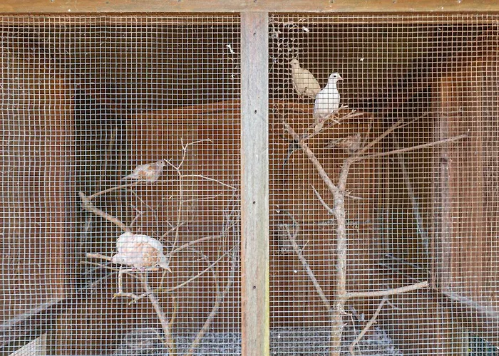 Casa Do Pomar Dom wakacyjny Sesimbra