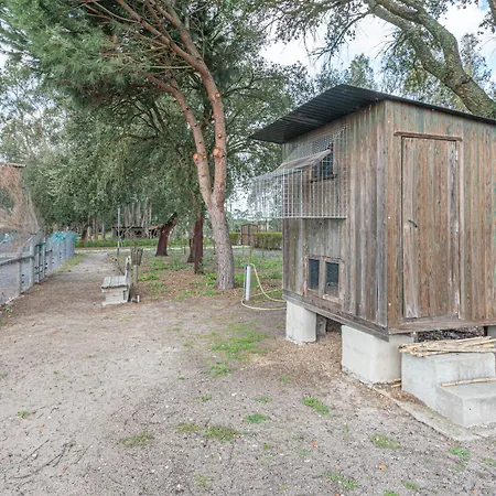 Nyaraló Casa Do Pomar Sesimbra