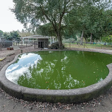 Casa de Férias Casa Do Pomar *