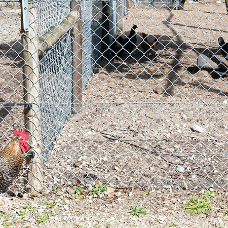 Casa Do Pomar Nyaraló *