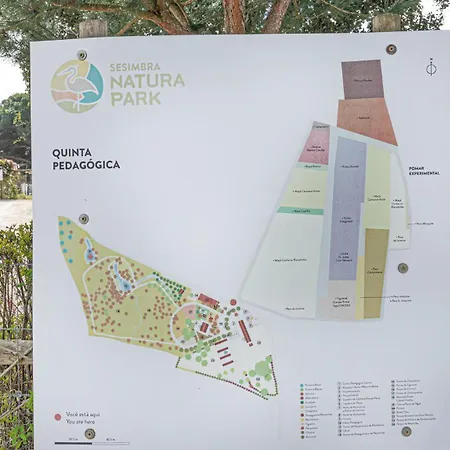 Casa de Férias Casa Do Pomar