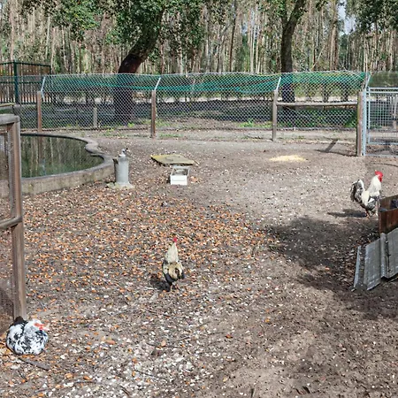 Nyaraló Casa Do Pomar *