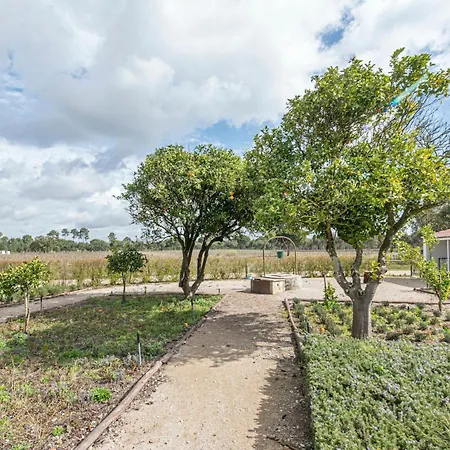 Casa Do Pomar Casa de Férias Sesimbra