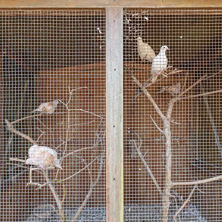 Casa Do Pomar Casa de Férias Sesimbra