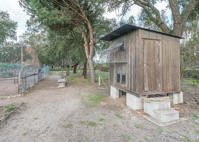 Vakantiehuis Casa Do Pomar Sesimbra