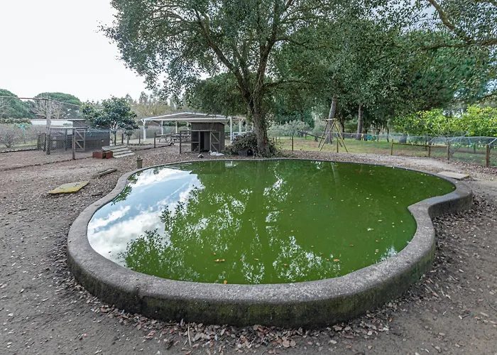 Vakantiehuis Casa Do Pomar *