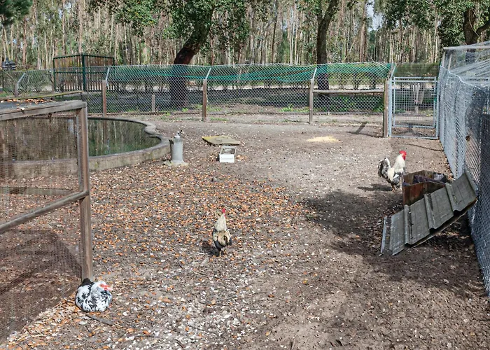 Vakantiehuis Casa Do Pomar *