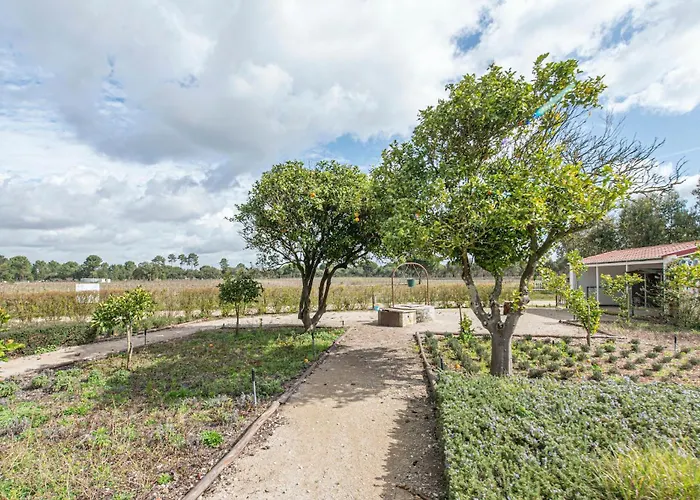 Casa Do Pomar Vakantiehuis Sesimbra